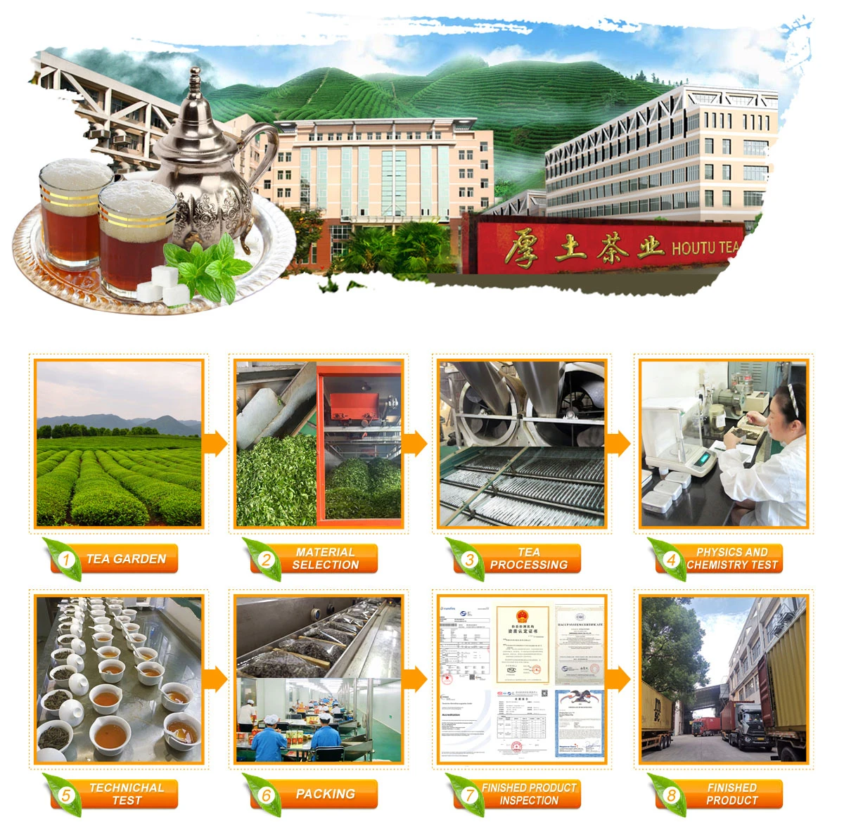 houtu tea production process optimization houtu tea production process optimization